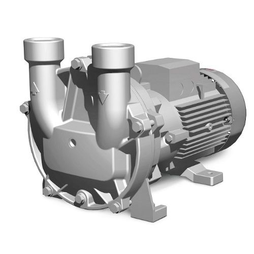 Вакуумный насос Elmo Rietschle L-BV54 2BV5410-1GH03-7S Вакуумный насос Elmo Rietschle L-BV54 2BV5410-1GH03-7S