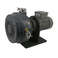 Вакуумный насос Geowell Vacuum GWSPS900