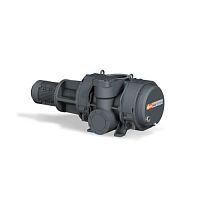 Вакуумный насос типа Рутс Busch Panda WV 2400 A