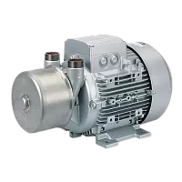 Вакуумный насос Elmo Rietschle L-BV7 2BV7 071-2AH08-4S