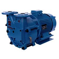 Вакуумный насос Pompetravaini TRMB 40-150