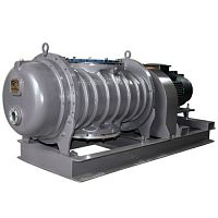 Вакуумный насос Everest EVB-HS 10000