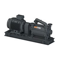Вакуумный насос Busch Dolphin LB 1507 A