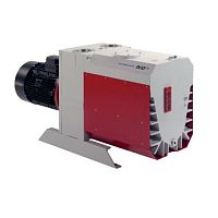 Вакуумный насос Pfeiffer Vacuum Duo 255 M