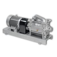 Вакуумный насос Busch Dolphin LB 3008 A