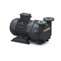 Вакуумный насос Busch Dolphin LX 0330 B